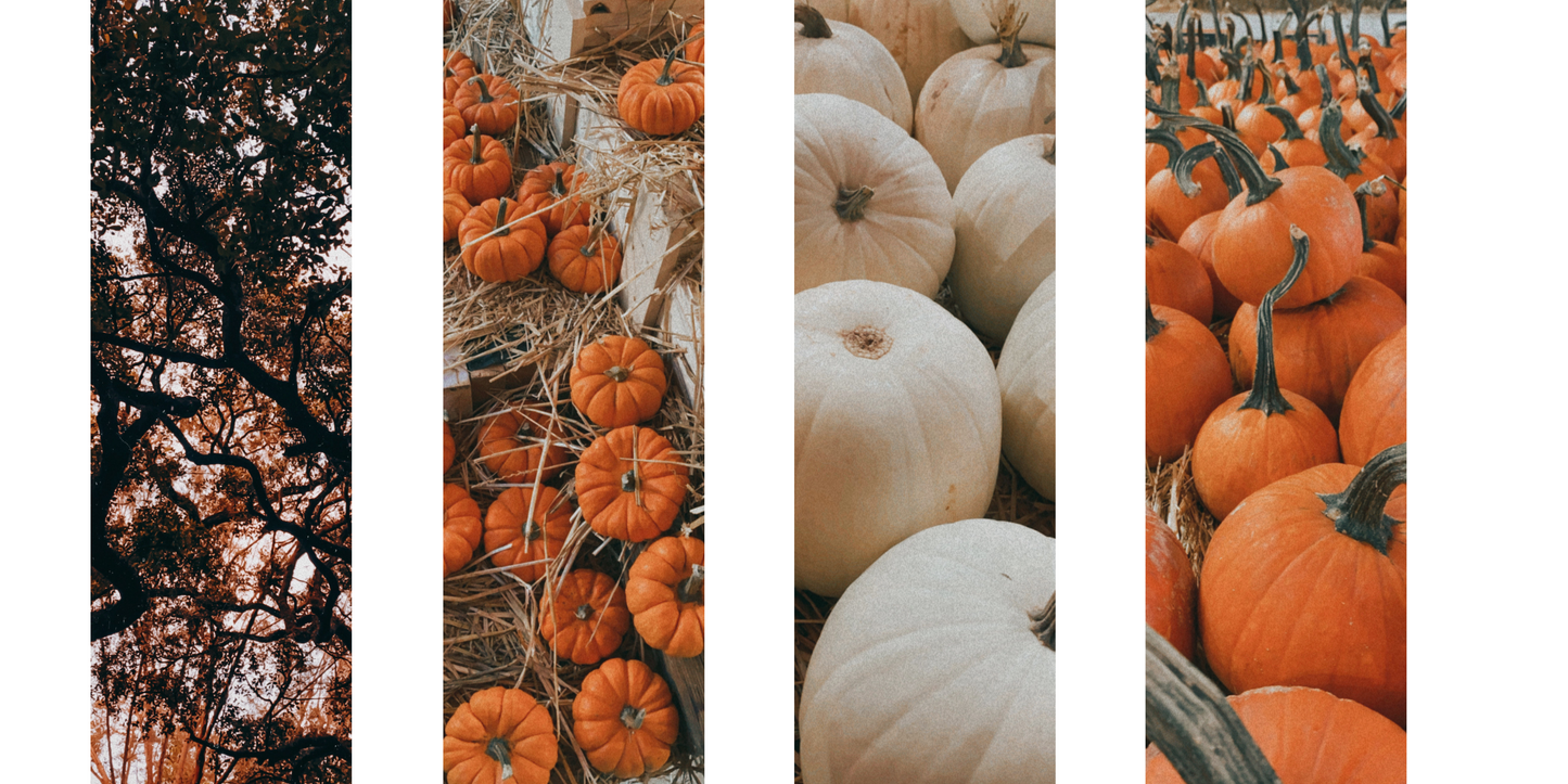 Autumn Vibes Bookmark Collection